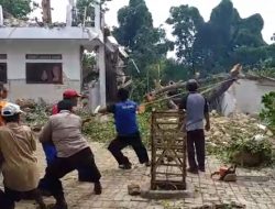 Sinergitas TNI-POLRI Dan Pemkab Sampang Bantu Bersihkan Pohon Tumbang Di Ponpes Nurul Alam Prajjan Camplong