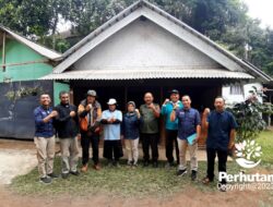 Netralisir Tenurial, Perhutani Bersama LMDH dan Komunitas Pemerhati Lingkungan Koala Lakukan Edukasi PKS