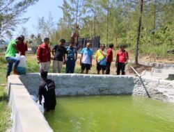 Danlanal Tegal Tabur Benih Ikan Koi Di Kolam Kali Bakung Kabupaten Tegal