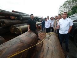 Ilegal Logging di Kalimantan Tengah Dibongkar Dittipidter Bareskrim Polri