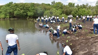 Foto : Siswa Kodiklatal Lattek WJY 23 Tanam Mangrove Di Pantai Cemara Banyuwangi