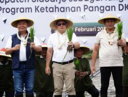 Tanam Padi Bersama : Pemkab Sidoarjo Siap Dukung Program Contract Farming DKI Jakarta Dengan Jatim