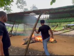 Tak Butuh Waktu Lama, Satreskrim Polres Bangkalan Bubarkan Arena Sabung Ayam di Modung