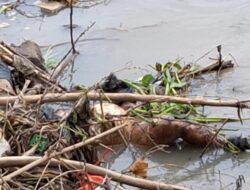 Mayat Wanita Tanpa Busana Ditemukan Membusuk di Sungai Jagir Surabaya