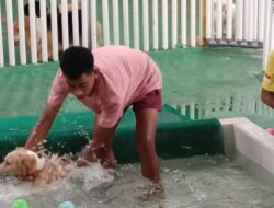 Libur Lebaran, Omzet Sunny Pet Hotel di Surabaya Naik 300%!