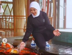 Filosofi Sederhana Mengajari Kebaikan: Memberi Makan Ikan
