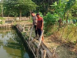 Polisi Motivasi Ketahanan Pangan Perkembangan Budidaya Ikan Lele di Kalipecabean Candi