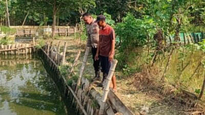 Polisi Motivasi Ketahanan Pangan Perkembangan Budidaya Ikan Lele di Kalipecabean Candi