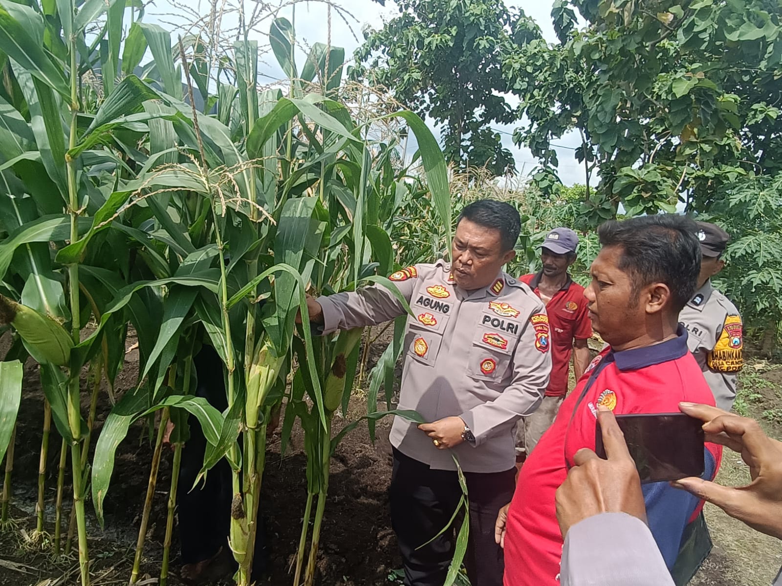 Polisi Cinta Petani, Kapolsek Porong Turun Langsung Cek Lahan Ketahanan Pangan