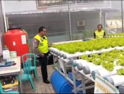 Ubah Lahan Kosong Jadi Green House untuk Ketahanan Pangan Desa Kletek