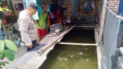 Polsek Tulangan Motivasi Program Ketahanan Pangan pada Budidaya Ikan Lele di Lahan Rumah Warga