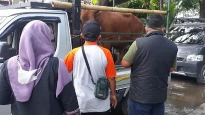 Dinas Peternakan dan Kesehatan Hewan Kabupaten Bangkalan terus melakukan pengawasan terhadap lalu lintas hewan