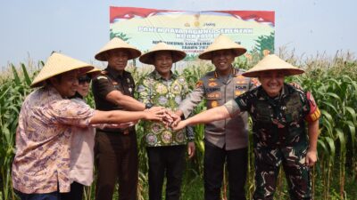 Dukung Swasembada Pangan Nasional 2025, Pemkab Sidoarjo Bantu 300 Ton Benih Jagung
