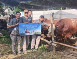 Kurban Jadi Wadah Silaturahmi: Perumda Surya Sembada Salurkan 14 Sapi ke Masyarakat Surabaya