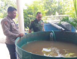 Sinergi TNI-Polri Tinjau Lokasi Budidaya Ikan Lele untuk Program Ketahanan Pangan di Desa Wedi Gedangan