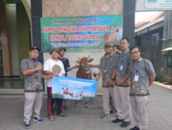Perumda Air Minum Surya Sembada Salurkan 14 Sapi Kurban pada Idul Adha 1446 H, Wujud Kepedulian dan Komitmen Layanan untuk Kota Surabaya