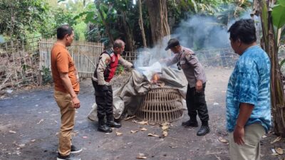 Keterangan Gambar: Polisi Bongkar Arena Sabung Ayam di Sidoarjo