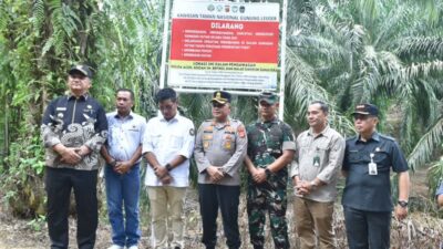 Keterangan Gambar: Bupati Aceh Tamiang, Irjen Pol. (Purn) Drs. Armia Pahmi, MH