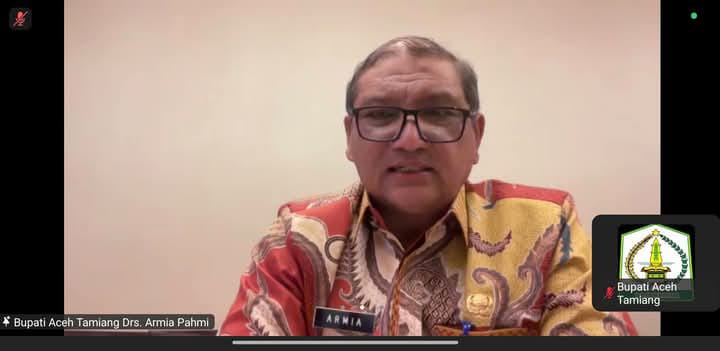 Bupati Armia Pahmi, Kabupaten Aceh Tamiang