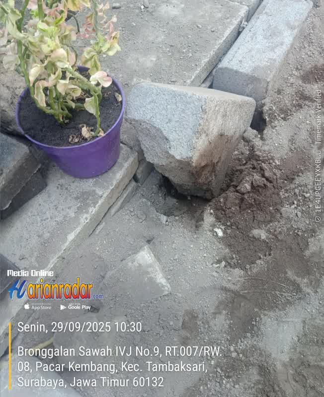 Pembangunan kastin paving Jalan Bronggalan Sawah 4J Surabaya, tidak adanya adukan semen di bawahnya