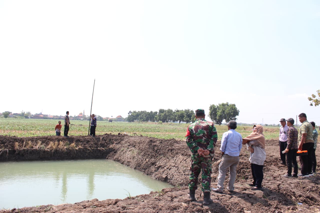 Satgas TMMD ke-126 Kodim 0816/Sidoarjo Bersama Dinas Perikanan Tinjau Kolam Ikan di Desa Kedondong