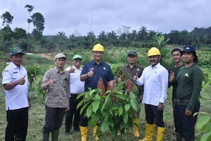 Bupati Aceh Tamiang, Irjen Pol. (Purn) Drs. Armia Pahmi, MH