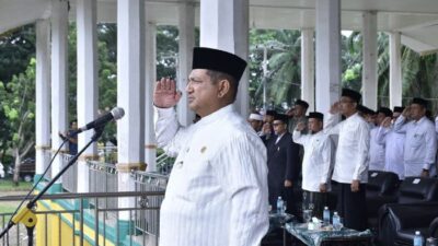 Bupati Aceh Tamiang, Irjen Pol. (Purn) Drs. Armia Pahmi, MH
