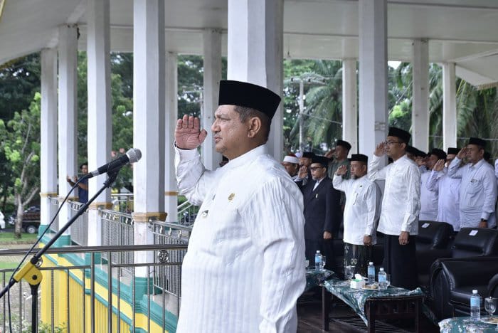 Bupati Aceh Tamiang, Irjen Pol. (Purn) Drs. Armia Pahmi, MH