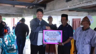 Bupati Aceh Tamiang, Irjen Pol (Purn) Drs. Armia Pahmi MH