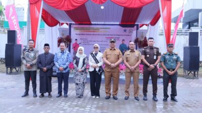 Bupati Aceh Tamiang, Irjen. Pol (Purn) Drs. Armia Pahmi MH