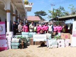 Ketua Bhayangkari Daerah Aceh Kembali Salurkan Bantuan untuk Korban Banjir di Pidie Jaya