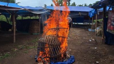 Polresta Banyuwangi Polda Jawa Timur menindaklanjuti laporan masyarakat terkait dugaan praktik perjudian jenis sabung ayam