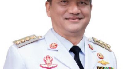 Bupati Aceh Tamiang, Irjen Pol (Purn) Drs. Armia Pahmi MH