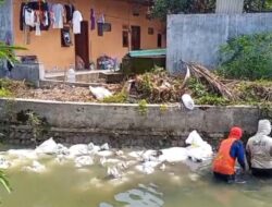 Tak Sesuai Ekspektasi Warga, Kontraktor Pelaksana CV Prima Tama: Proyek Sungai di Sidoarjo Pengerjaan Pakai ‘Serok Ikan’