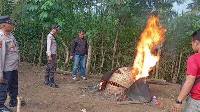 Polres Malang Polda Jatim menertibkan sarana yang diduga digunakan untuk praktik judi sabung ayam di Dusun Sumbertimo, Desa Arjosari, Kecamatan Kalipare, Kabupaten Malang.