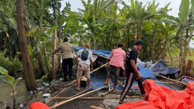 Polresta Sidoarjo Polsek Krembung membongkar arena sabung ayam di lahan persawahan Desa Ploso, Kecamatan Krembung, Kabupaten Sidoarjo