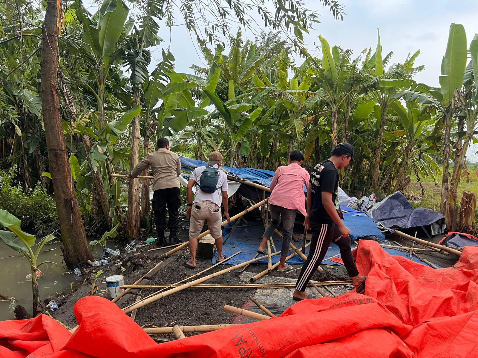 Polresta Sidoarjo Polsek Krembung membongkar arena sabung ayam di lahan persawahan Desa Ploso, Kecamatan Krembung, Kabupaten Sidoarjo
