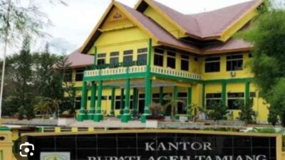 Pemerintah Kabupaten Aceh