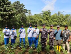 Sukseskan Program Presiden RI, Komandan KODAERAL XI Tinju Lahan Kedelai di Kumbe Merauke 