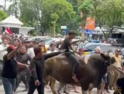 Tolak Relokasi, Massa Audensi RPH Pegirian Bawa Sapi Ke DPRD Surabaya 