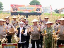 Polda Jatim Gelar Panen Raya Jagung Serentak Kuartal IV di Sidoarjo