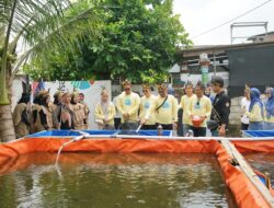Sinergi Warga dan PLN, Bawa Dusun Simocoyo Masuk Finalis 5 Besar Kampung PLN Mobile Jatim