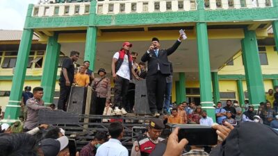 Bupati Aceh Tamiang, Irjen Pol. (Purn) Drs. Armia Pahmi MH