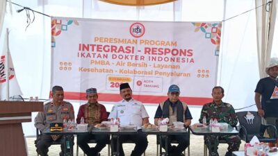 Bupati Aceh Tamiang, Irjen Pol. (Purn) Drs. Armia Pahmi MH