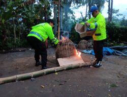 Polres Malang Bongkar Arena Sabung Ayam di Sumberpucung, Berawal dari Laporan 110
