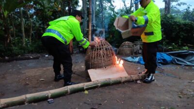 Polsek Sumberpucung membongkar lokasi yang diduga kerap digunakan sebagai arena judi sabung ayam di Dusun Kuncoro