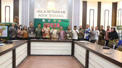 Bupati Aceh Tamiang, Irjen Pol. (Purn) Drs. Armia Pahmi MH