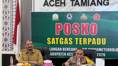 Bupati Aceh Tamiang, Irjen Pol. (Purn) Drs. Armia Pahmi MH
