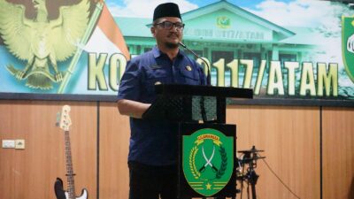 Bupati Aceh Tamiang, Irjen Pol. (Purn) Drs. Armia Pahmi MH