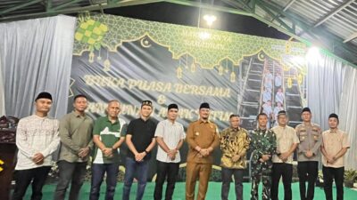 Bupati Aceh Tamiang, Irjen Pol. (Purn) Drs. Armia Pahmi MH
